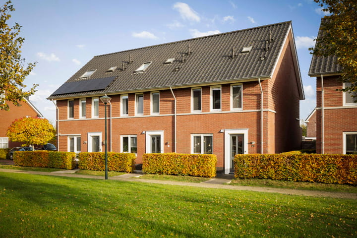 Sleutelbloem 24 in Twello foto