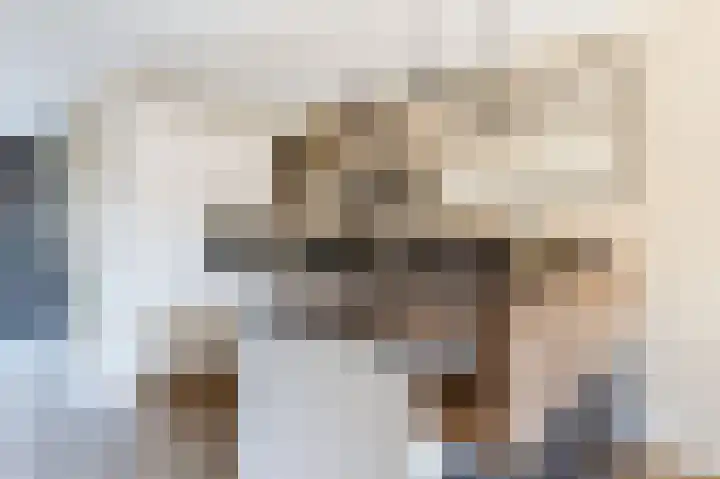 Sleutelbloem 3 De Meern thumbnail 13
