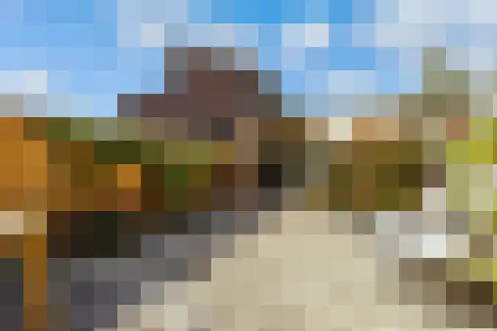 Sleutelbloem 3 De Meern thumbnail 29