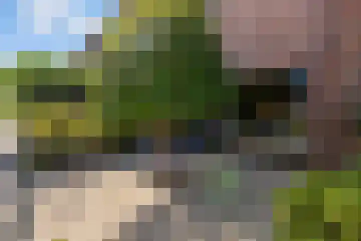 Sleutelbloem 3 De Meern thumbnail 40