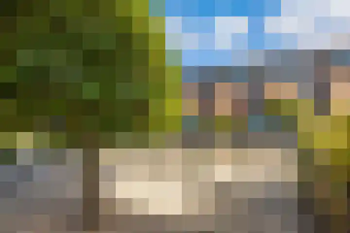 Sleutelbloem 3 De Meern thumbnail 41
