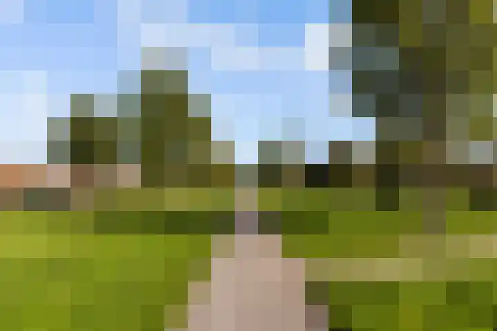 Sleutelbloem 3 De Meern thumbnail 46