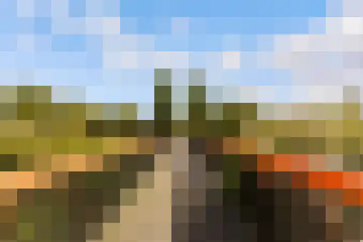 Sleutelbloem 3 De Meern thumbnail 51