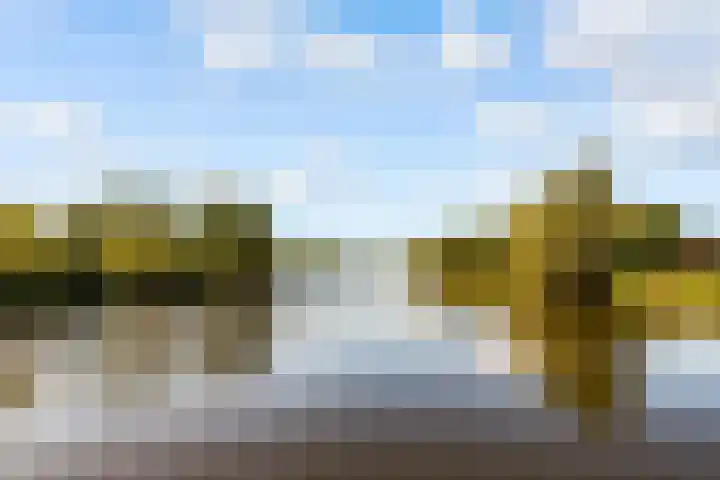 Sleutelbloem 3 De Meern thumbnail 52