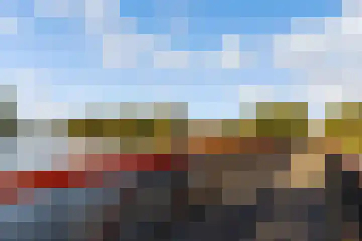 Sleutelbloem 3 De Meern thumbnail 53
