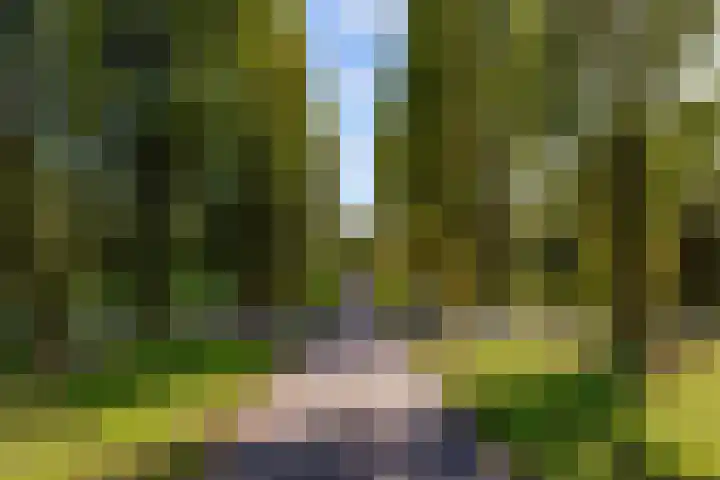 Sleutelbloem 3 De Meern thumbnail 54
