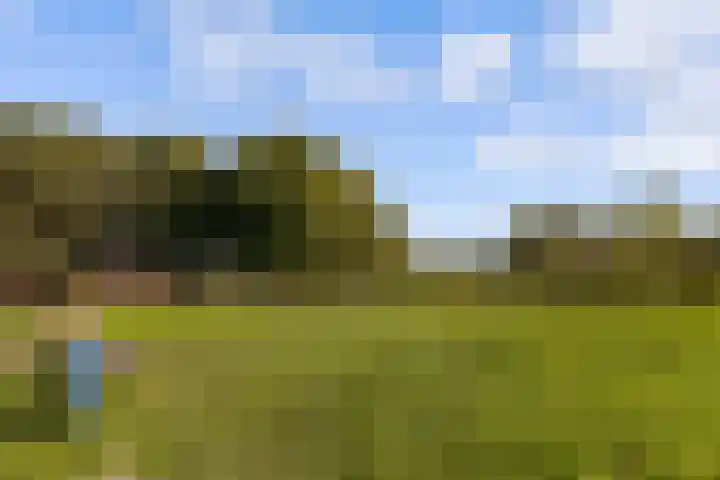 Sleutelbloem 3 De Meern thumbnail 55