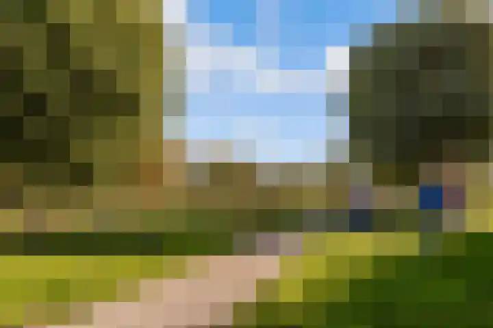 Sleutelbloem 3 De Meern thumbnail 56