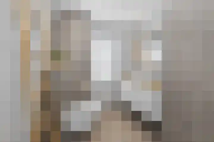 Sleutelbloem 4 Brummen thumbnail 20