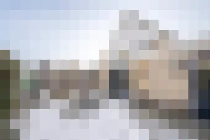 Sleutelbloem 4 Brummen thumbnail 26