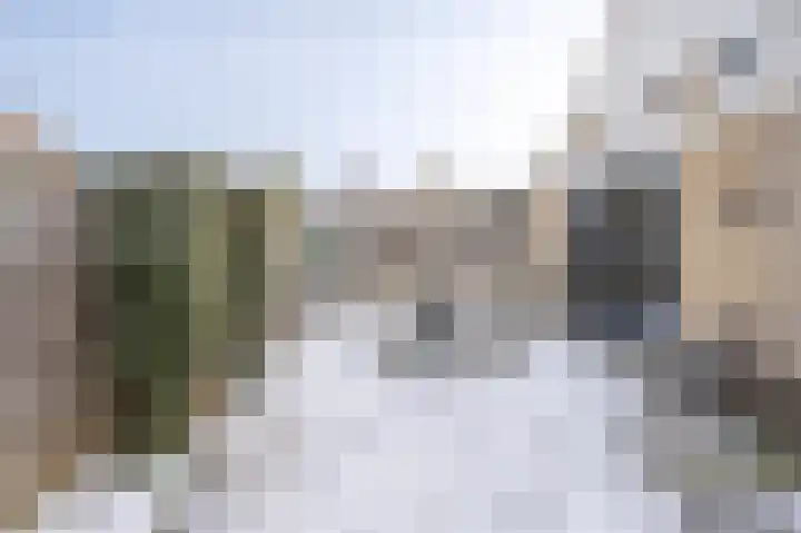 Sleutelbloem 4 Brummen thumbnail 27
