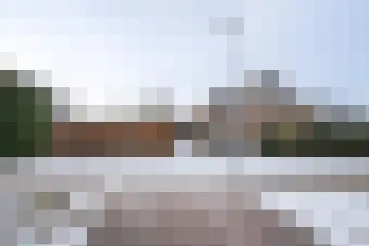 Sleutelbloem 4 Brummen thumbnail 34