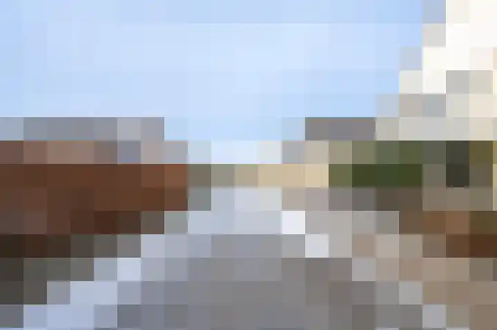 Sleutelbloem 4 Brummen thumbnail 35