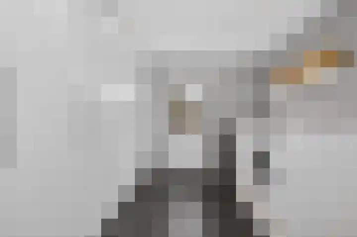Sleutelbloem 4 Brummen thumbnail 8