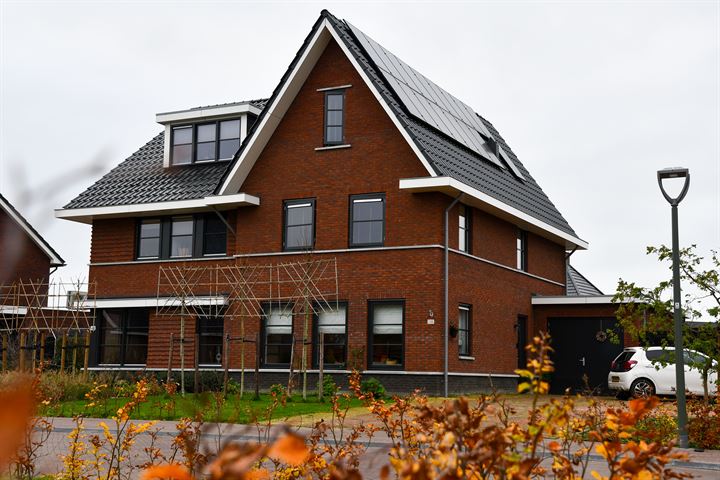 Sleutelbloem 41 in Leek foto