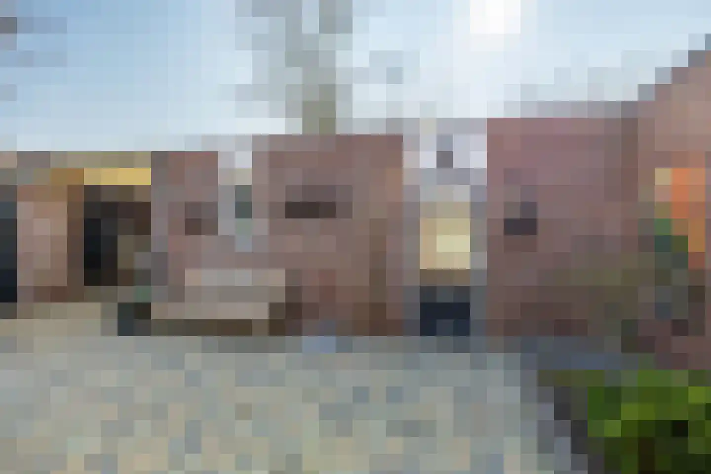 Sleutelbloem 48 Venray thumbnail 33