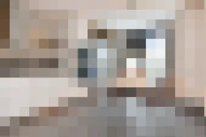 Sleutelbloem 5 Nootdorp thumbnail 16