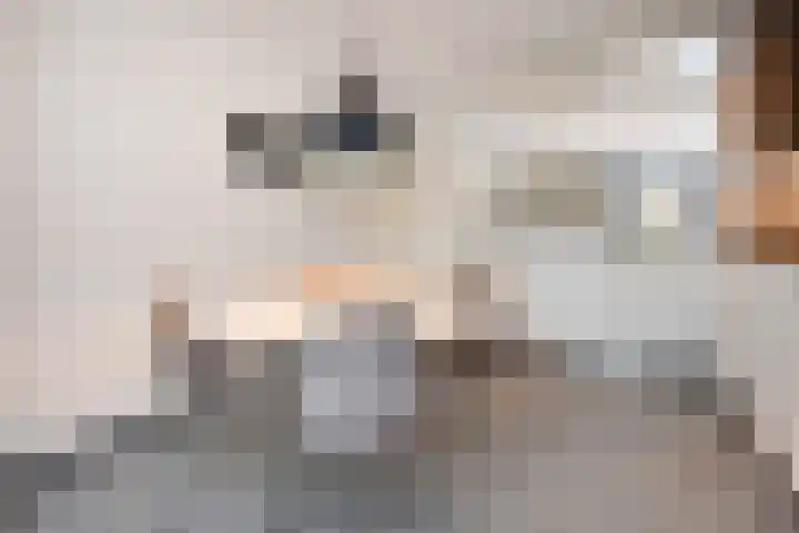 Sleutelbloem 5 Nootdorp thumbnail 18