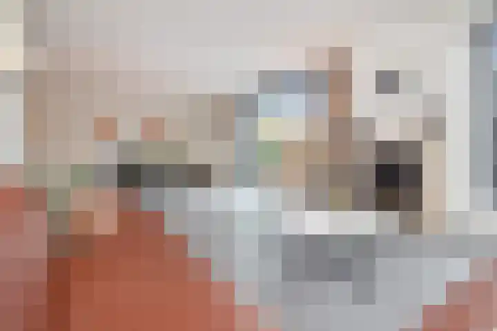 Sleutelbloem 5 Nootdorp thumbnail 22