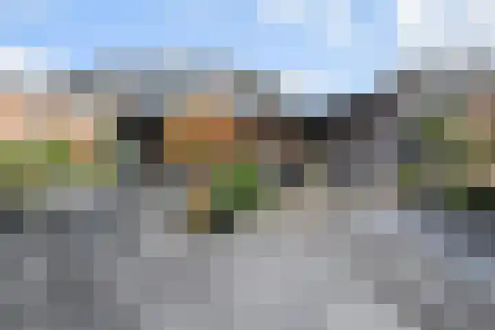 Sleutelbloem 5 Nootdorp thumbnail 26