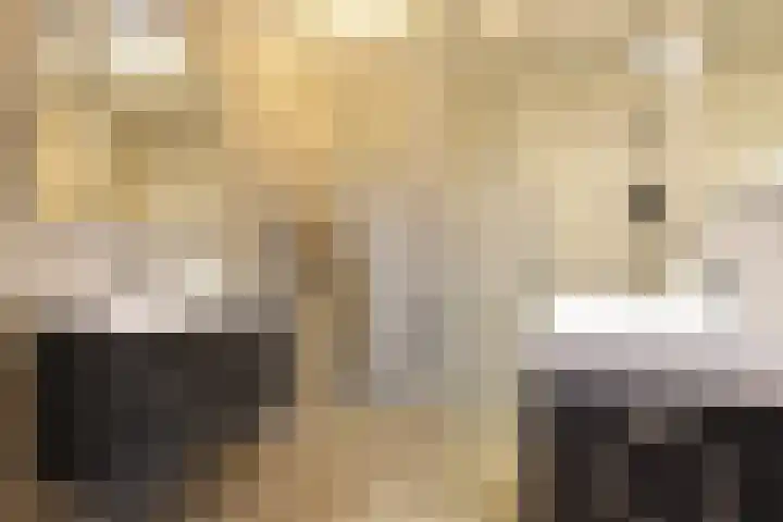 Sleutelbloem 5 Nootdorp thumbnail 39