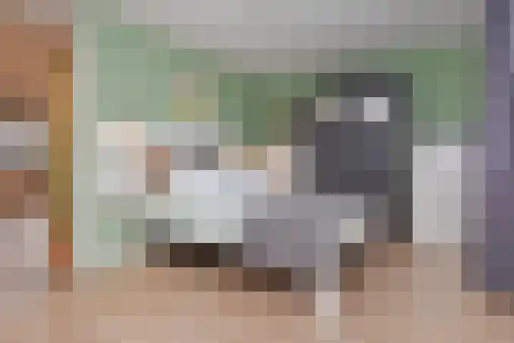 Sleutelbloem 5 Nootdorp thumbnail 48