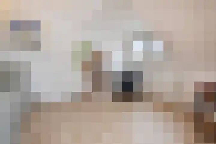Sleutelbloem 5 Nootdorp thumbnail 54