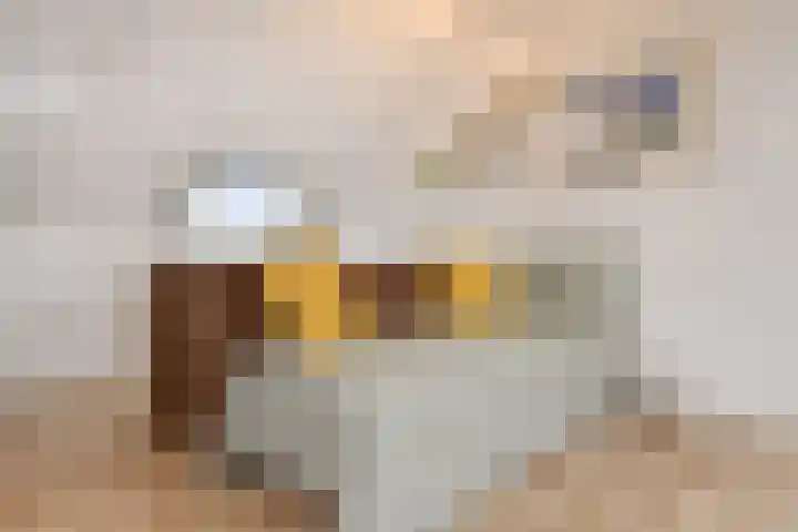 Sleutelbloem 5 Nootdorp thumbnail 59