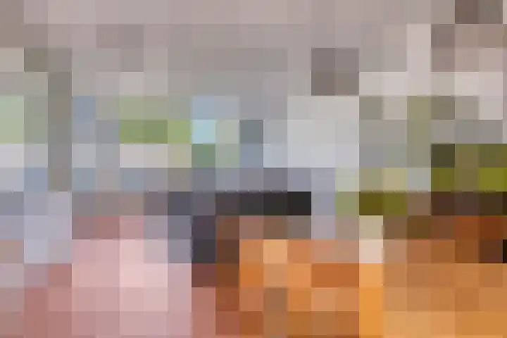 Sleutelbloem 55 Culemborg thumbnail 10