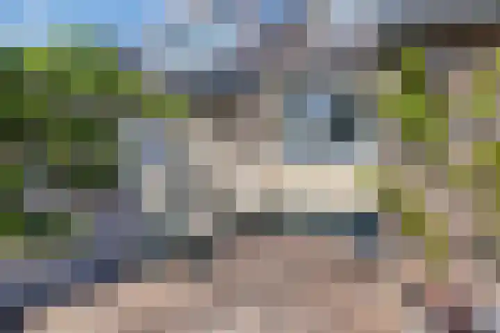 Sleutelbloem 55 Culemborg thumbnail 23
