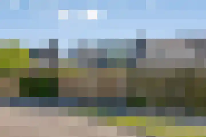 Sleutelbloem 55 Culemborg thumbnail 26