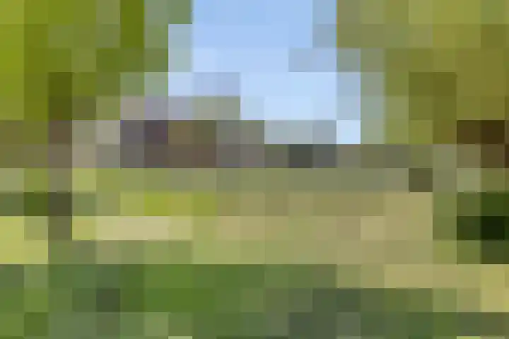 Sleutelbloem 55 Culemborg thumbnail 27