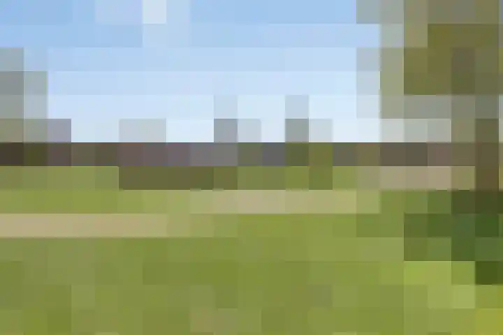 Sleutelbloem 55 Culemborg thumbnail 28