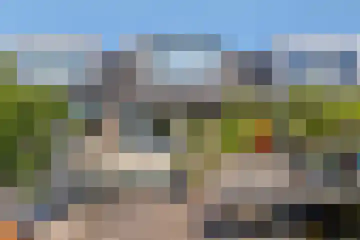 Sleutelbloem 55 Culemborg thumbnail 34