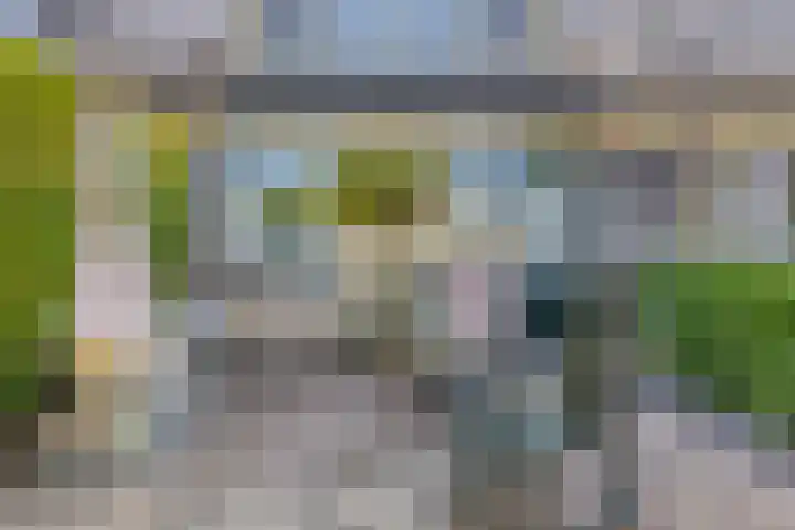 Sleutelbloem 55 Culemborg thumbnail 4