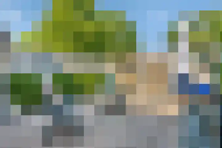 Sleutelbloem 55 Culemborg thumbnail 5