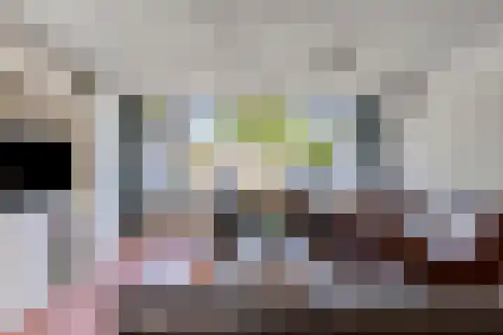 Sleutelbloem 55 Culemborg thumbnail 7