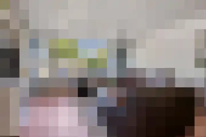 Sleutelbloem 55 Culemborg thumbnail 9