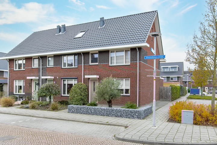 Foto van woning Sleutelbloemstraat 19, Nederhemert