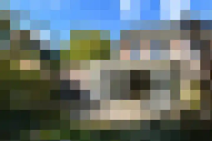 Sleutelbloemstraat 2 Weert thumbnail 31