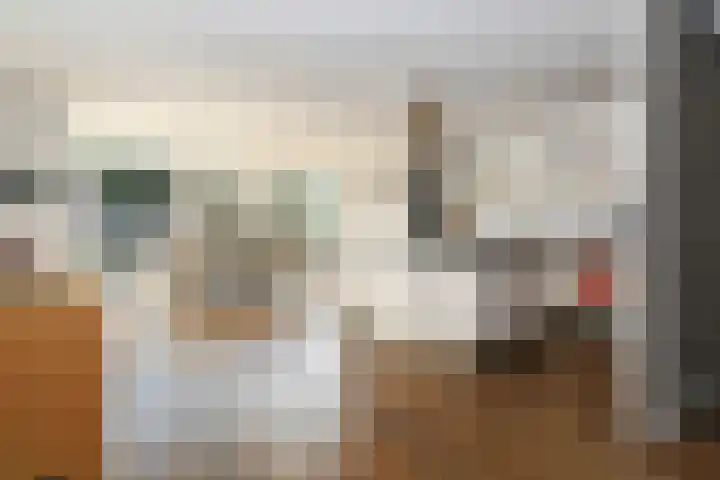Sleutelbloemstraat 2 Weert thumbnail 4