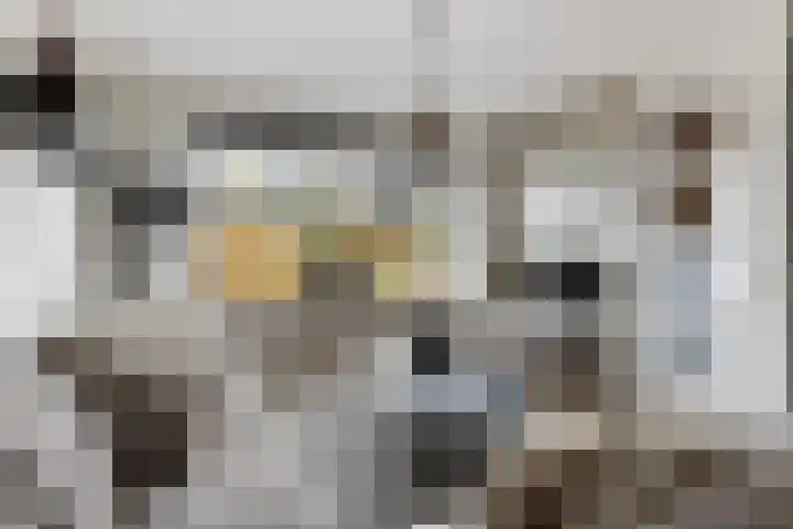 Sleutelkenswei 14 Goes thumbnail 12