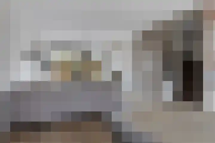 Sleutelkenswei 14 Goes thumbnail 19