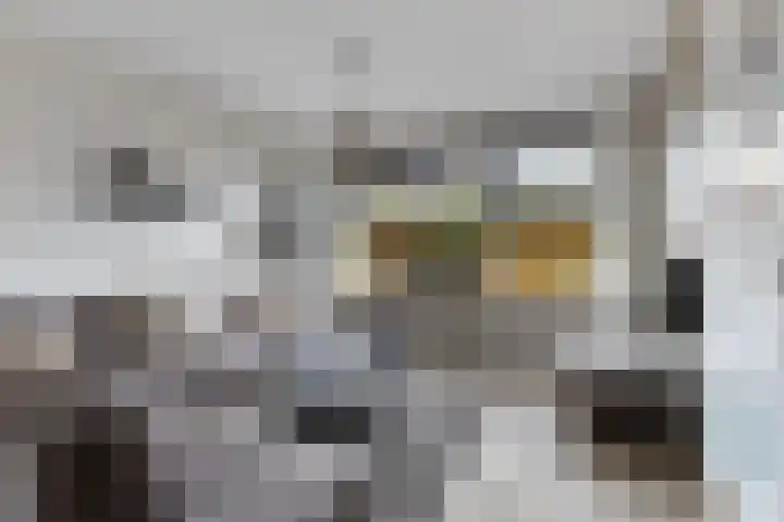 Sleutelkenswei 14 Goes foto 2