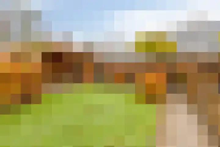 Sleutelkenswei 14 Goes thumbnail 42
