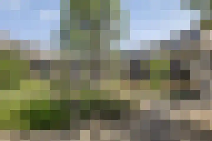 Sleutelring 7 Rotterdam thumbnail 19