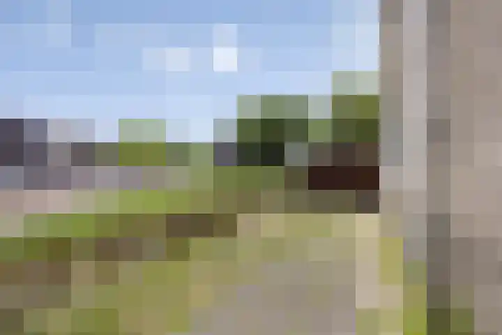 Sleutelring 7 Rotterdam thumbnail 9