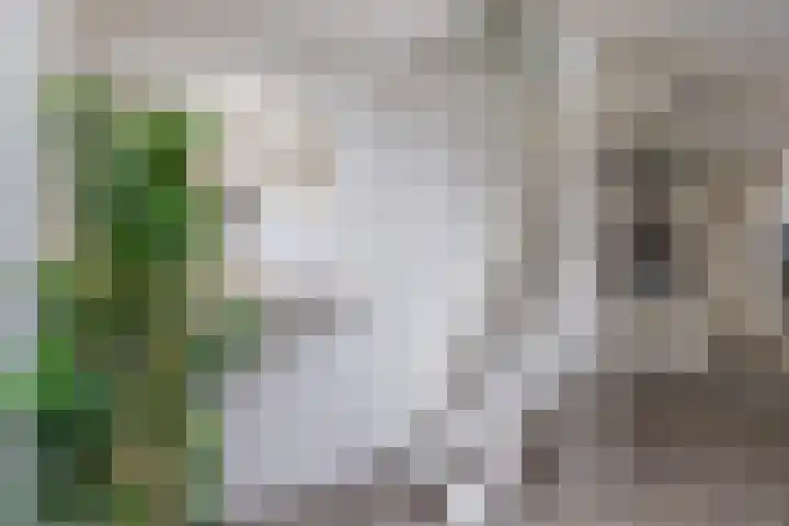 Sleutelsteeg 2 a Weesp thumbnail 14
