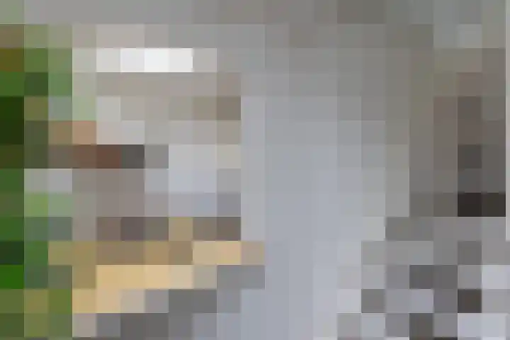 Sleutelsteeg 2 a Weesp thumbnail 15