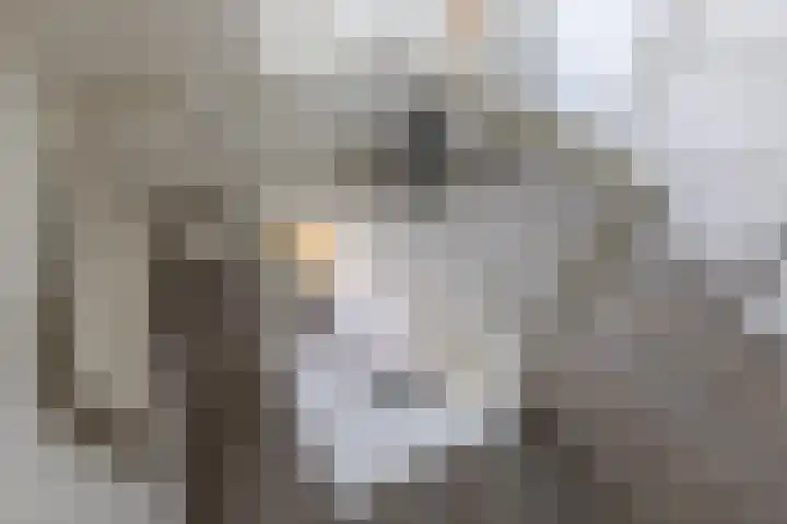 Sleutelsteeg 2 a Weesp thumbnail 25